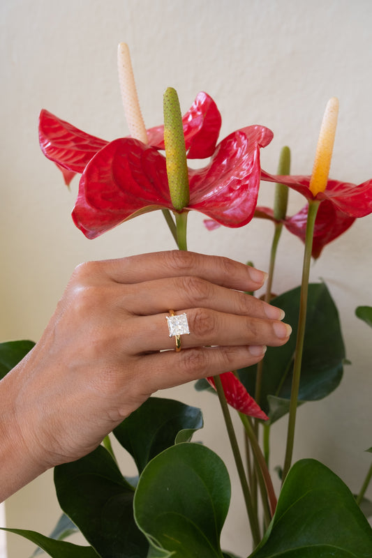 3 ct Princess Cut Solitaire Ring